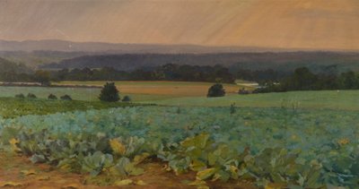 Turnip Field by William Cosens Way
